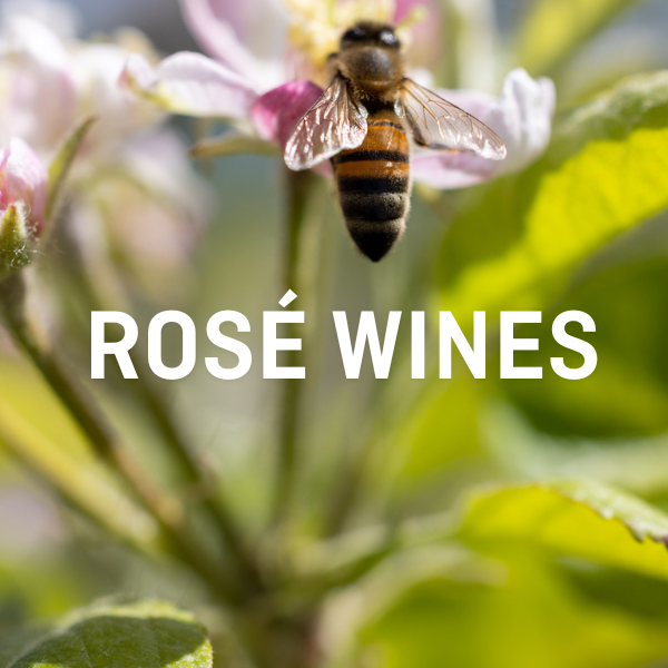 Rosé Wines