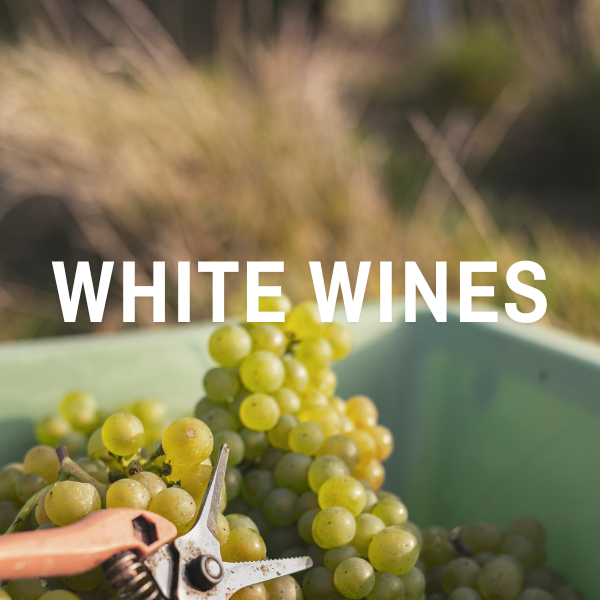 White Wines